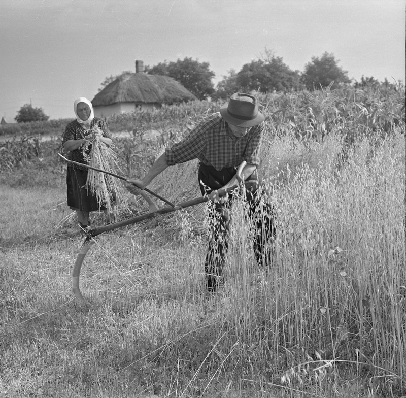 2 Tőkés László Aratás B keresztur 1974 711