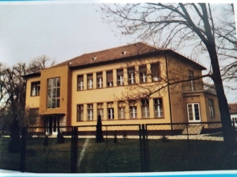 Zöldkereszt zoldkereszt